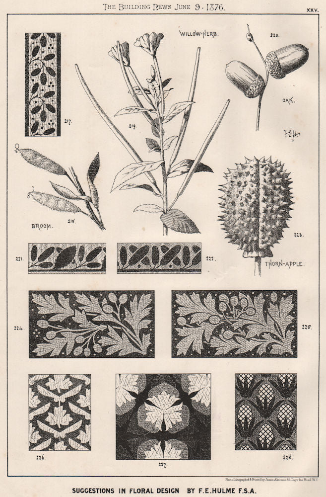 Suggestions in Floral; design by F.E. Hulme F.S.A.. Botanical (2) 1876 print